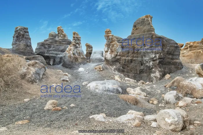 : Refera de Teseguite, Rofera Antigua, Stratified : Refera de Teseguite, Rofera Antigua, Stratified