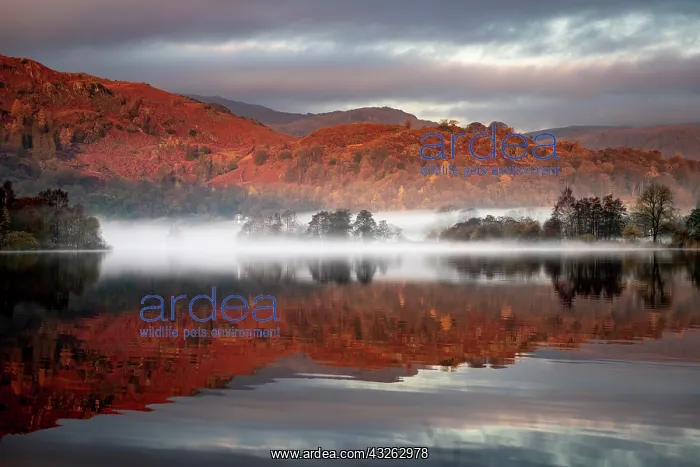 : Reflecting water surface at sunrise with fog, hilly : Reflecting water surface at sunrise with fog, hilly