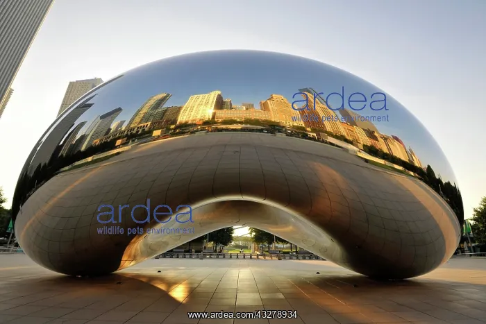 : Reflection of the Chicago skyline with Legacy at : Reflection of the Chicago skyline with Legacy at