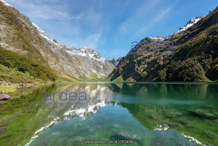 : Reflection in Lake Marian, Fiordland National Park : Reflection in Lake Marian, Fiordland National Park