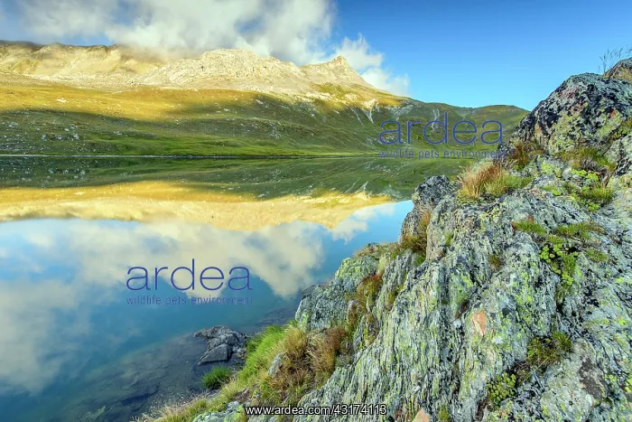 : Reflection on Lake Roburent, High Ubaye, Alps, Italy : Reflection on Lake Roburent, High Ubaye, Alps, Italy