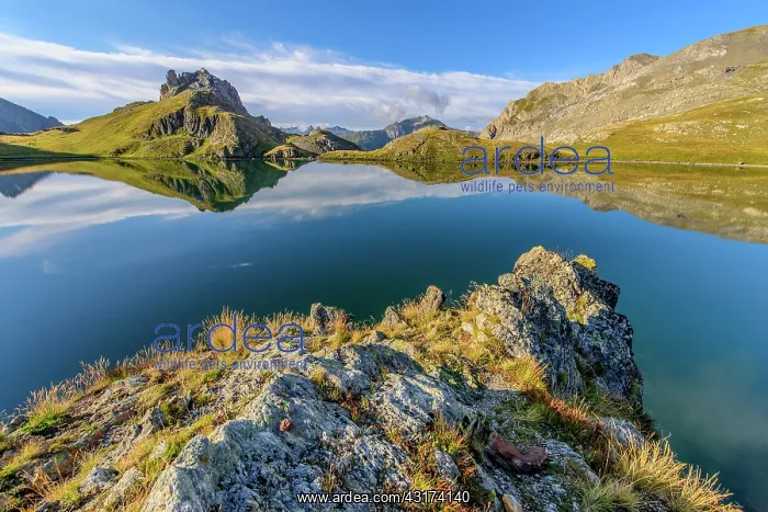 : Reflection on Lake Roburent, High Ubaye, Alps, Italy : Reflection on Lake Roburent, High Ubaye, Alps, Italy
