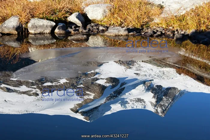 : reflection of Mount Hoher Zaun and Mount : reflection of Mount Hoher Zaun and Mount