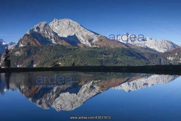  : Reflection of Mount Watzmann in a small lake