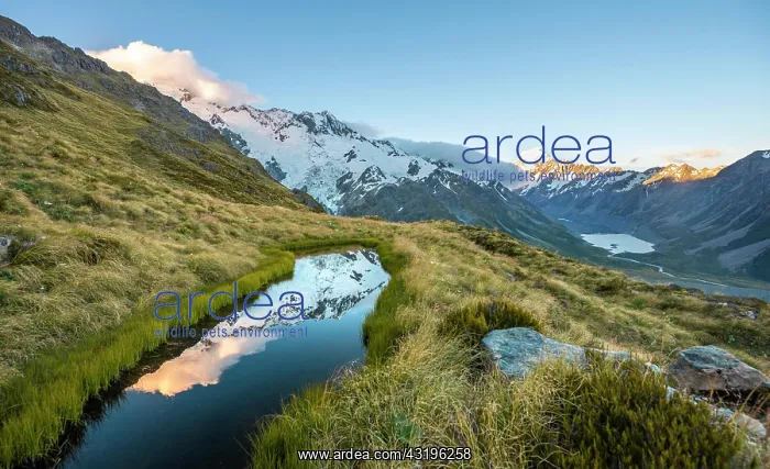 : Reflection in mountain lake, view of Hooker Valley : Reflection in mountain lake, view of Hooker Valley