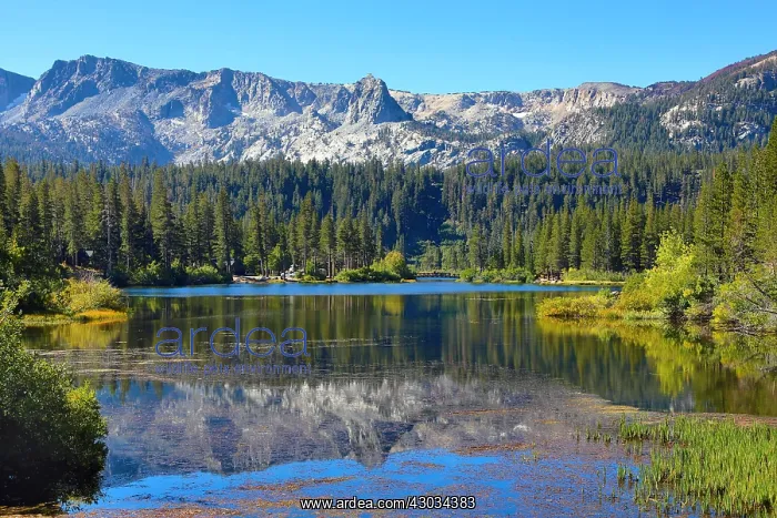  : Reflection of mountains in Twin Lakes, Mammoth