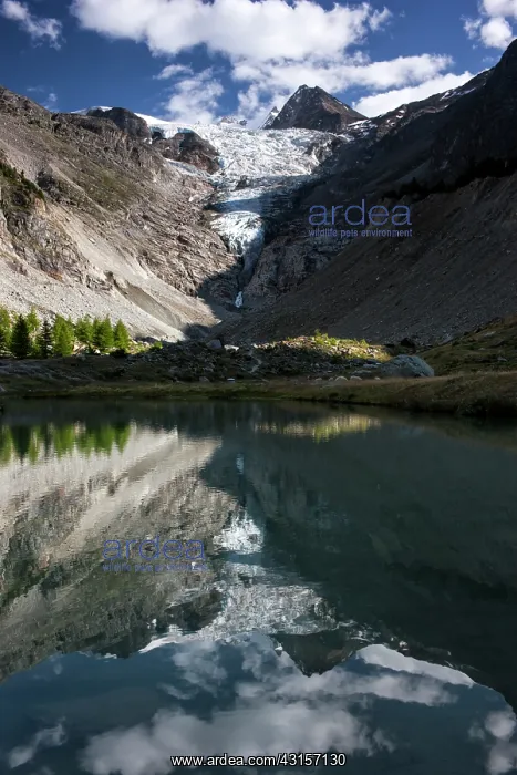 : Reflection of Ried glacier with alpine landscape in mountain : Reflection of Ried glacier with alpine landscape in mountain