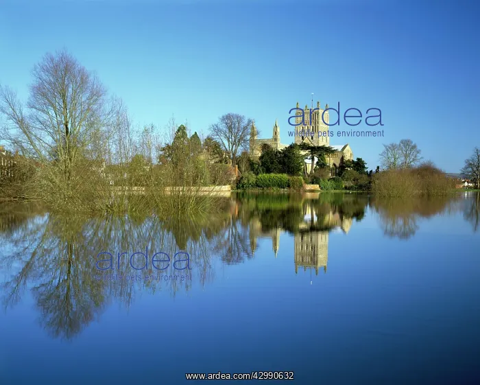 : Reflections in the flood water from the river Avon around th : Reflections in the flood water from the river Avon around th