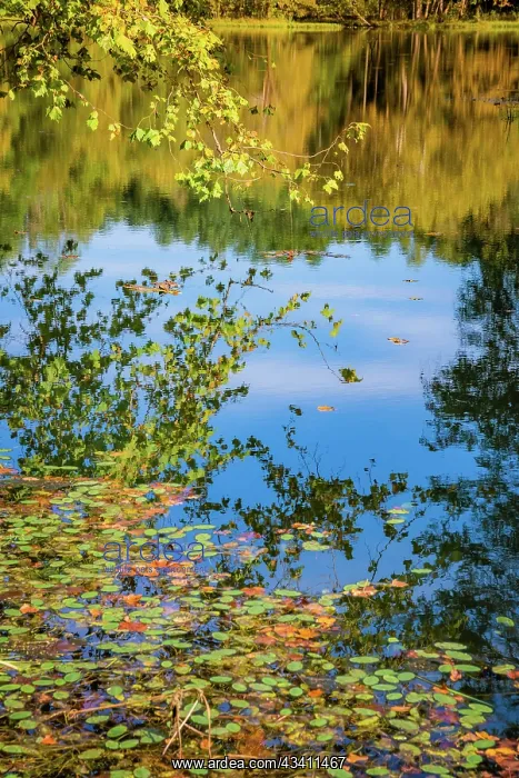 : Reflections, Otter Lake, Blue Ridge Parkway, Virginia, USA : Reflections, Otter Lake, Blue Ridge Parkway, Virginia, USA