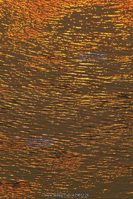 : Reflections of the setting sun : Reflections of the setting sun