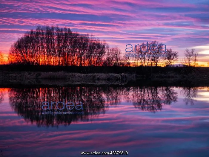 : Reflections of sunset at the lake : Reflections of sunset at the lake