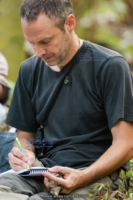 : Registration of data about a bird, , by Stephane : Registration of data about a bird, , by Stephane