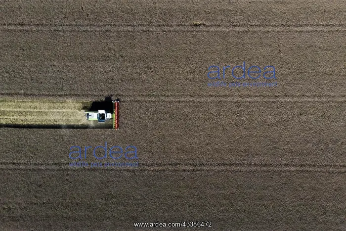 : Reichenbach, Germany, A combine harvester stands : Reichenbach, Germany, A combine harvester stands