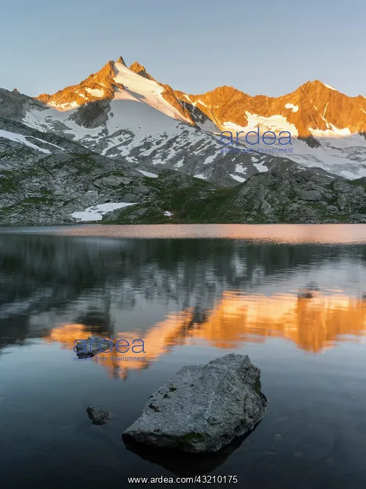 : Reichenspitz mountain range in the Zillertal : Reichenspitz mountain range in the Zillertal