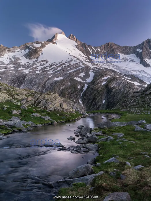 : Reichenspitz mountain range in the Zillertal : Reichenspitz mountain range in the Zillertal