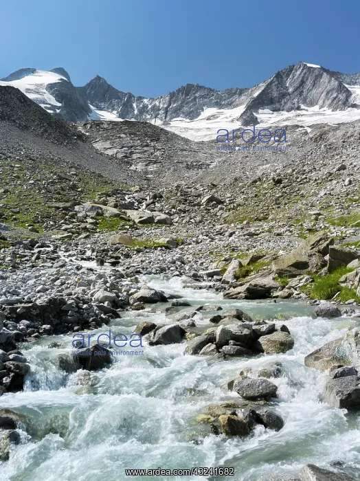 : The Reichenspitz Mountain Range in the Zillertal : The Reichenspitz Mountain Range in the Zillertal