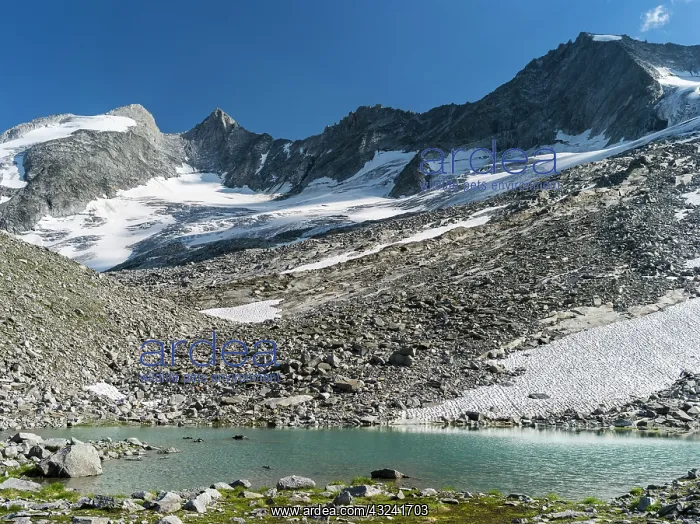 : The Reichenspitz Mountain Range in the Zillertal : The Reichenspitz Mountain Range in the Zillertal