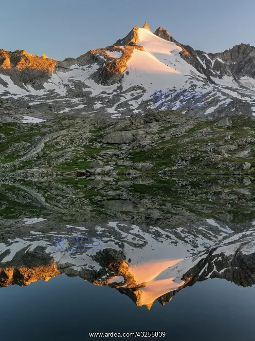 : Reichenspitz mountain range in the Zillertal : Reichenspitz mountain range in the Zillertal