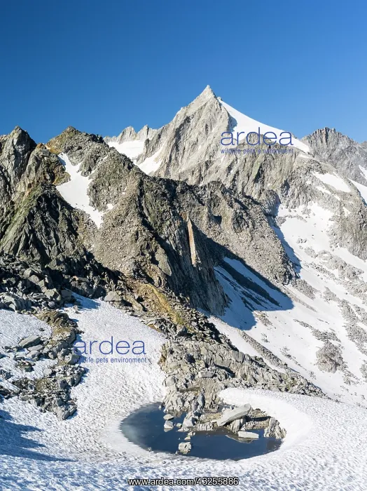 : Reichenspitz mountain range in the Zillertal : Reichenspitz mountain range in the Zillertal
