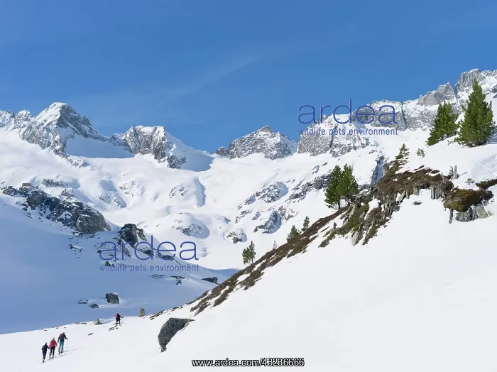 : Reichenspitze mountain range (Zillertertal : Reichenspitze mountain range (Zillertertal