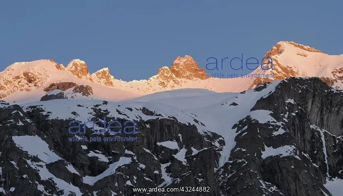 : Reichenspitze mountain range (Zillertertal : Reichenspitze mountain range (Zillertertal