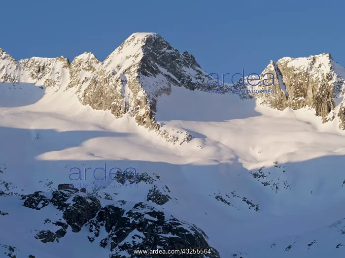 : Reichenspitze mountain range (Zillertertal : Reichenspitze mountain range (Zillertertal