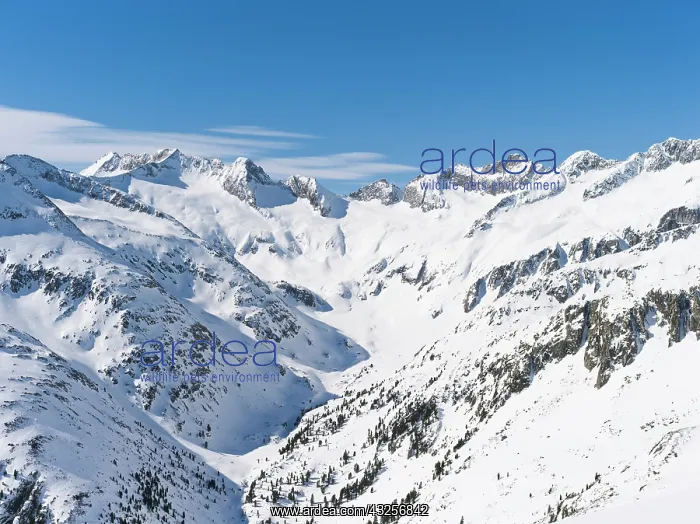 : Reichenspitze mountain range (Zillertertal : Reichenspitze mountain range (Zillertertal