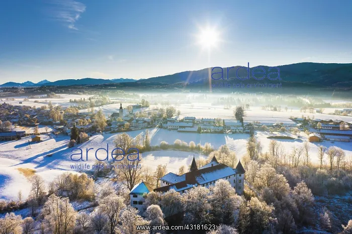 : Reichersbeuern and Sigriz Castle in winter, Tnlzer : Reichersbeuern and Sigriz Castle in winter, Tnlzer