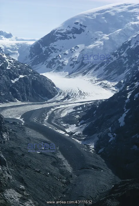 : Reid Glacier : Reid Glacier
