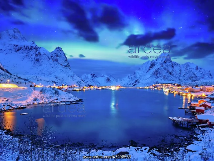 : Reine village illuminated at night with Aurora Borealis : Reine village illuminated at night with Aurora Borealis