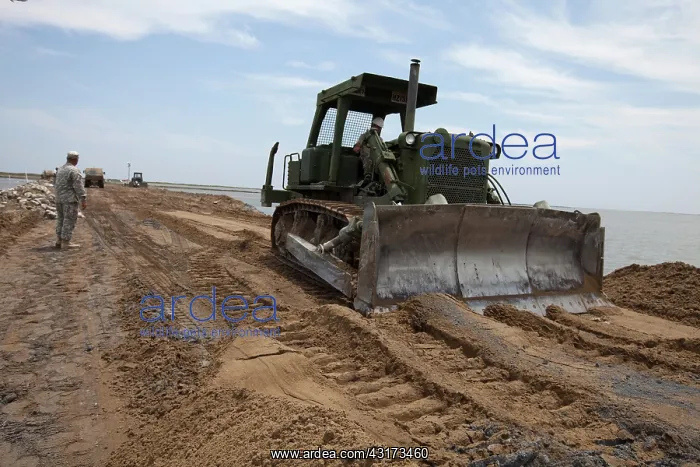 : Reinforcing Barrier Islands Against Oil Spill : Reinforcing Barrier Islands Against Oil Spill