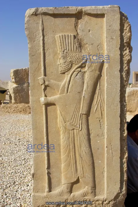  : Relief carving depicting a Persian officer