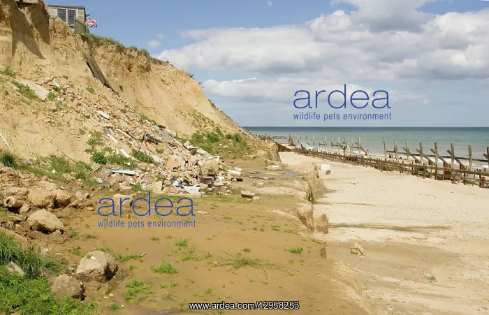 : Remains of collapsed houses after severe coastal erosion : Remains of collapsed houses after severe coastal erosion