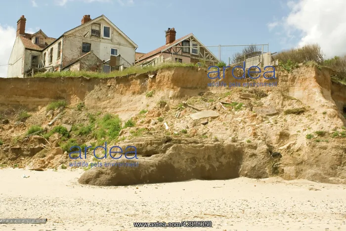  : Remains of collapsed houses after severe coastal erosion