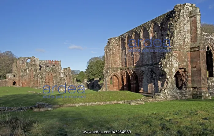 : Remains of Furness Abbey Barrow-in-Furness Cumbria : Remains of Furness Abbey Barrow-in-Furness Cumbria