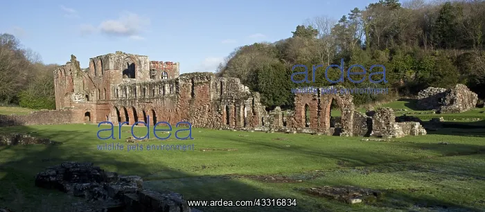  : Remains of Furness Abbey Barrow-in-Furness Cumbria