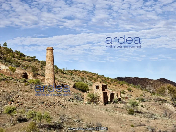 : The remains of the Nuccaleena Mine would have : The remains of the Nuccaleena Mine would have