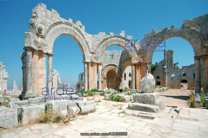 : Remains of the pillar of Saint Simeon Stylites : Remains of the pillar of Saint Simeon Stylites