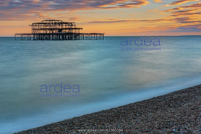 : The remains of the West Pier in Brighton, Englan : The remains of the West Pier in Brighton, Englan