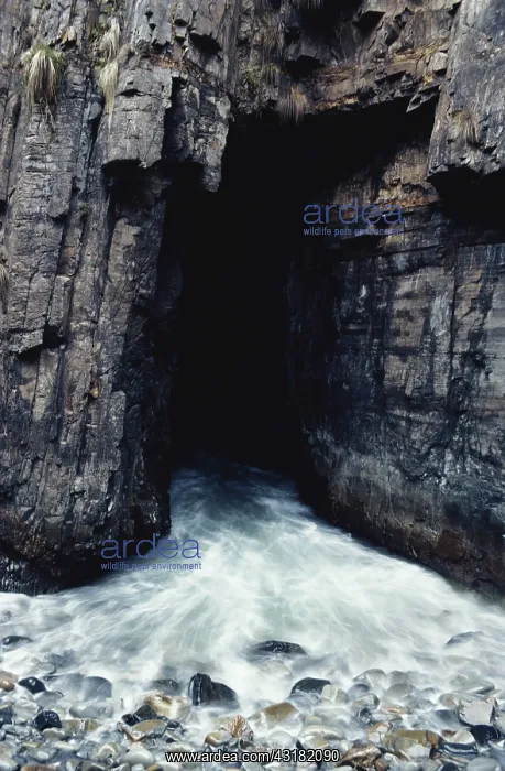 : Remarkable Cave Tidal Arch : Remarkable Cave Tidal Arch