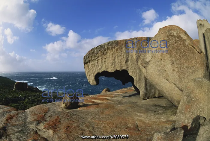 : Remarkable Rocks : Remarkable Rocks