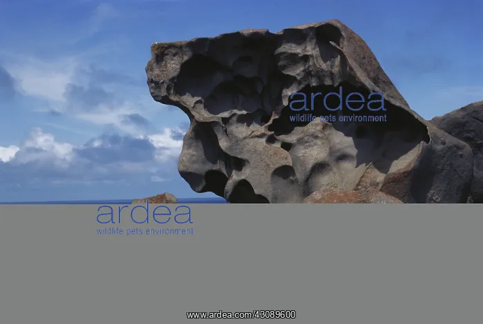 : Remarkable Rocks : Remarkable Rocks