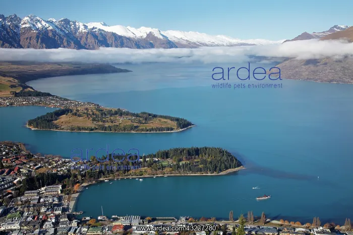 : The Remarkables, Lake Wakatipu, and Queenstown : The Remarkables, Lake Wakatipu, and Queenstown