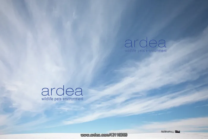 : Remote barn under big sky : Remote barn under big sky