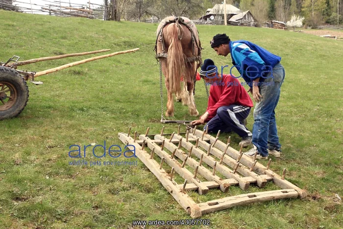 : Repairing a harrow Apuseni Mountains Romania : Repairing a harrow Apuseni Mountains Romania