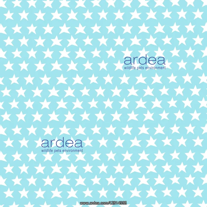 : Repeating pattern : Repeating pattern