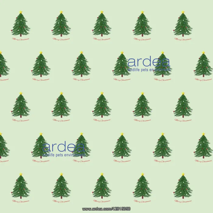  : Repeating pattern