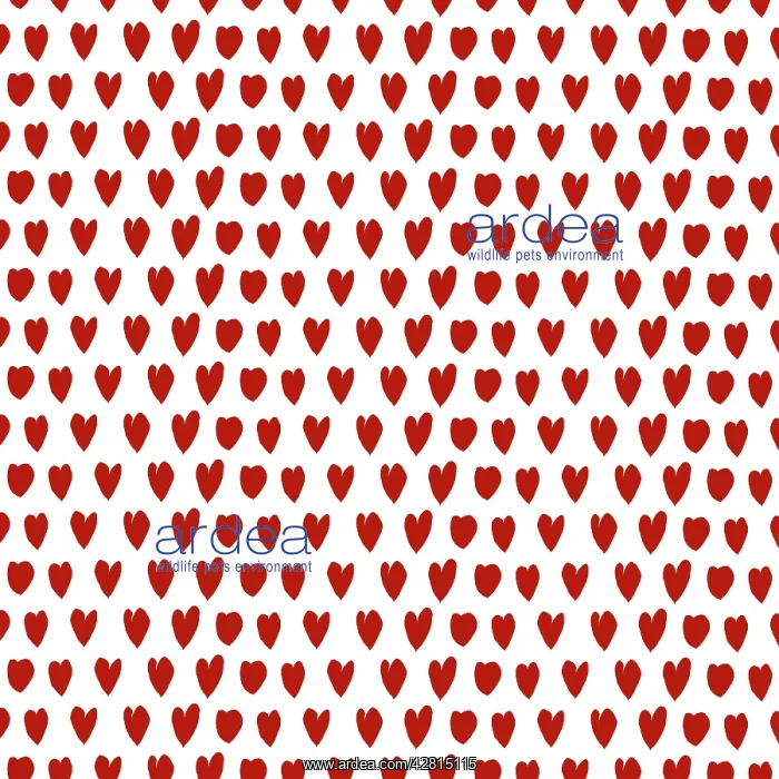 : Repeating pattern : Repeating pattern