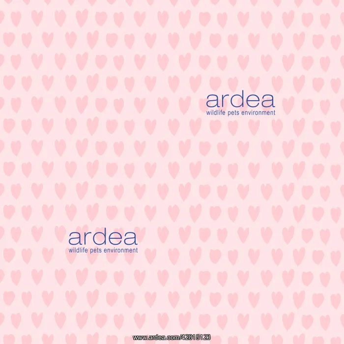 : Repeating pattern : Repeating pattern