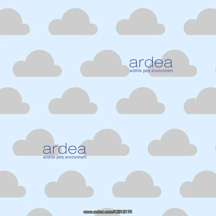  : Repeating pattern